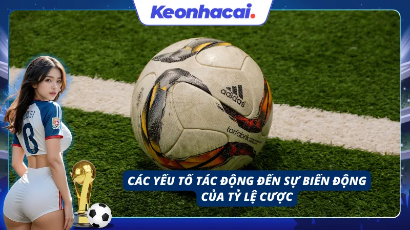Các yếu tố gây ảnh hưởng đến sự biến động của tỷ lệ cược là gì